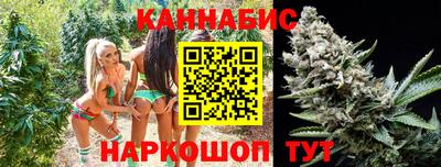 прущие грибы Гатчина