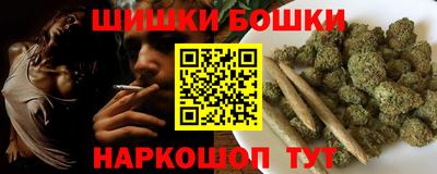 прущие грибы Гатчина