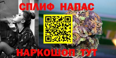 винт Гай